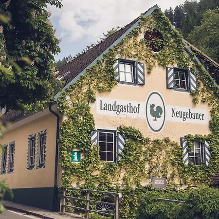 Hotel Neugebauer 3*