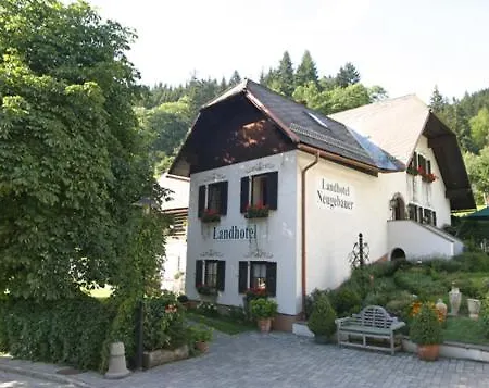 Отель Neugebauer 3*