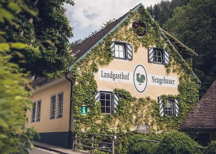 Отель Neugebauer 3*