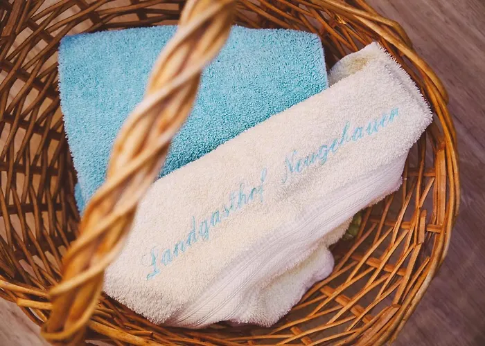 Neugebauer Отель 3*