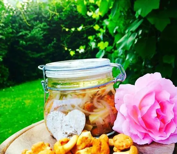 Отель Neugebauer Lollinggraben