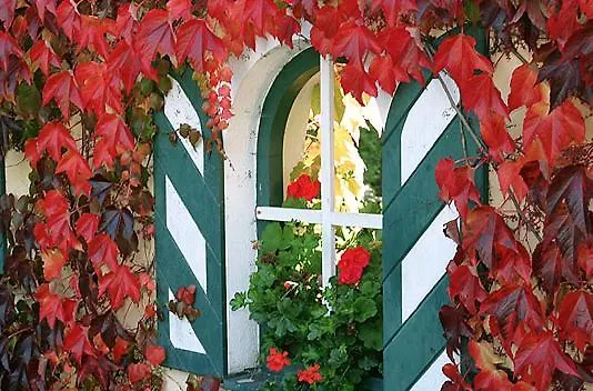 Neugebauer Отель